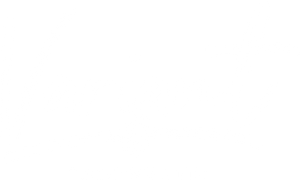 Variant Partyband