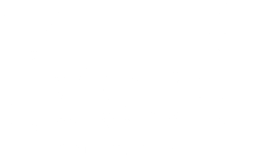 Variant Partyband